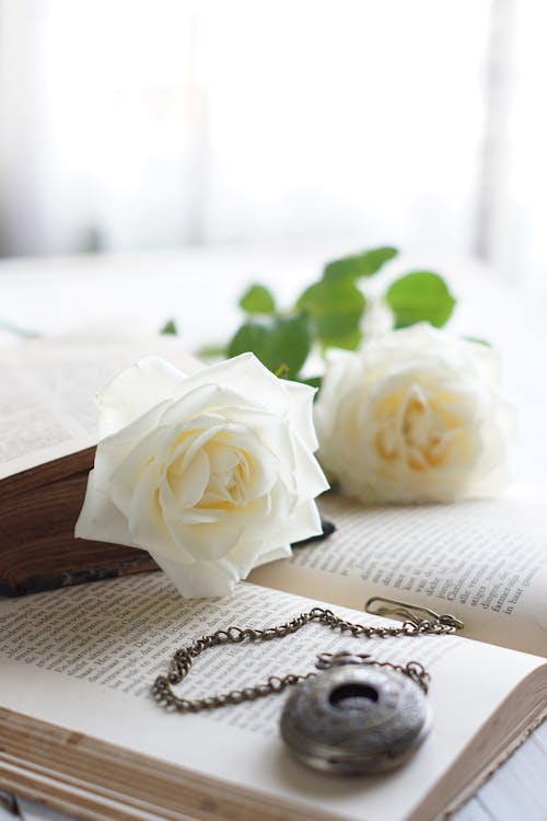 White Roses and Chain on a Book · Free Stock Photo