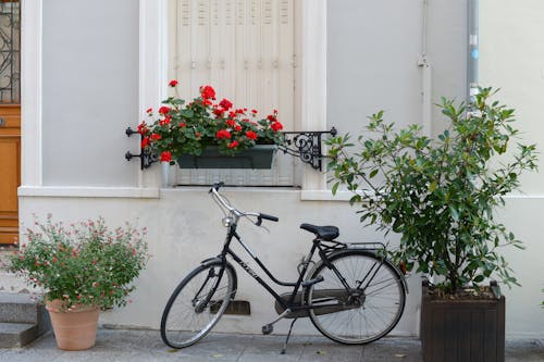 Foto profissional grátis de bicicleta, calçada, calçadas