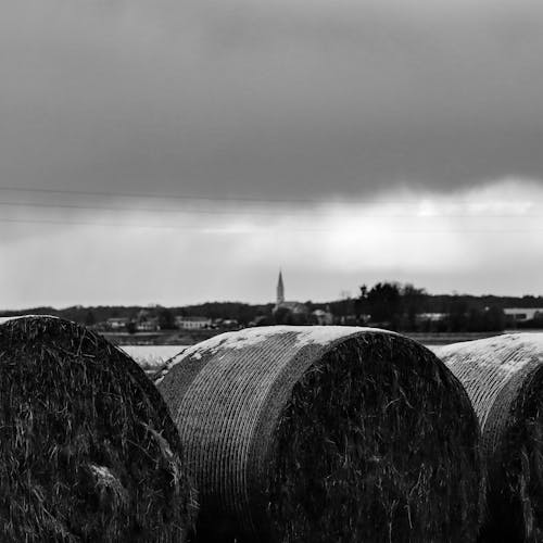 Free Black and white photograph of hay bales in a field Stock Photo