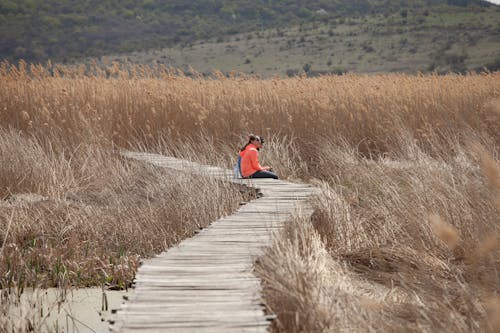 A person sitting on a wooden walkway in the middle of a field