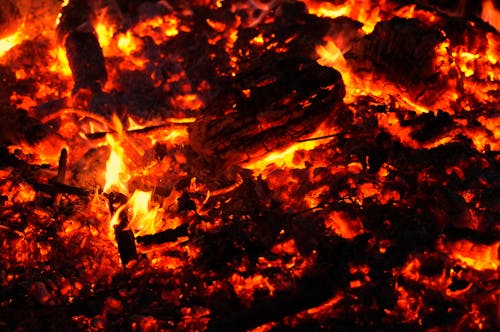 Free stock photo of charcoal, embers, fire