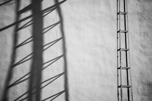 A ladder and shadow on a wall