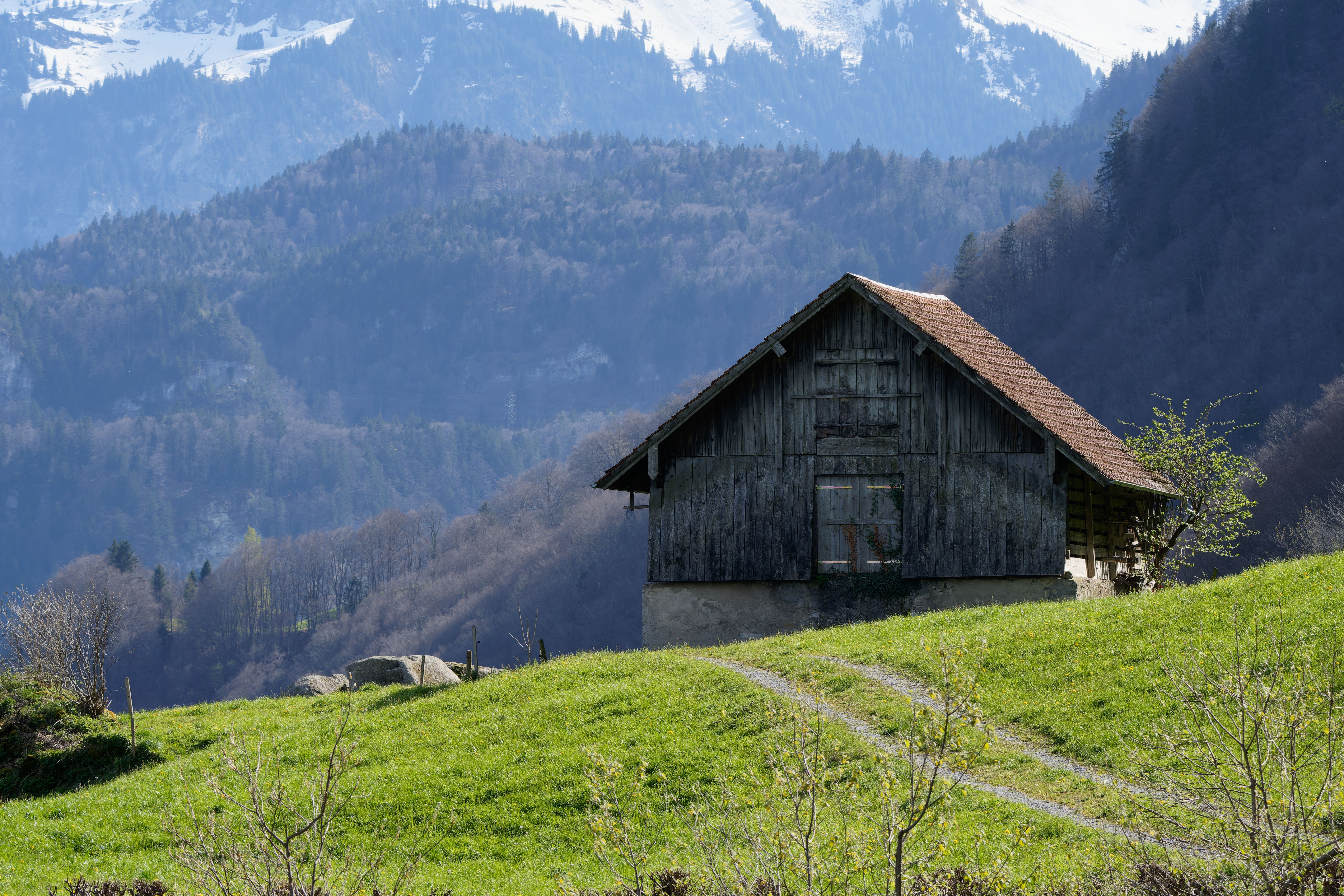 Photos gratuites de agriculture, alpes, alpes suisses