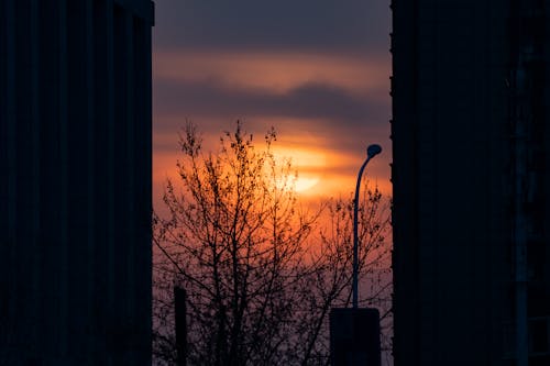 คลังภาพถ่ายฟรี ของ ซิลูเอตต์, ตะวันลับฟ้า, ตึก