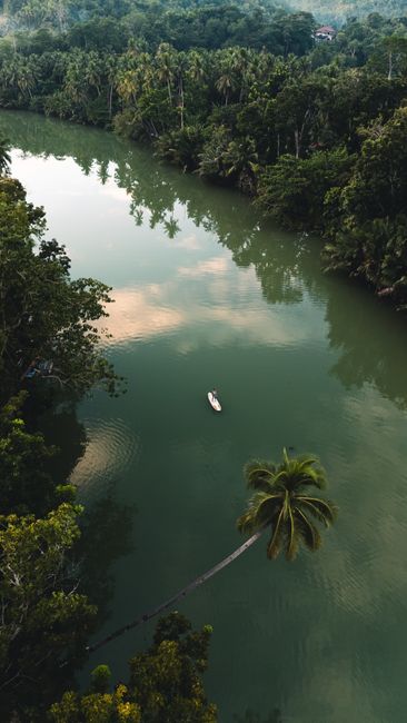 A tranquil aerial shot of the lush green Loboc River surrounded by tropical forest in the Philippines.