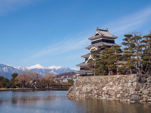 Immagine gratuita di alberi, castello di matsumoto-jō, città