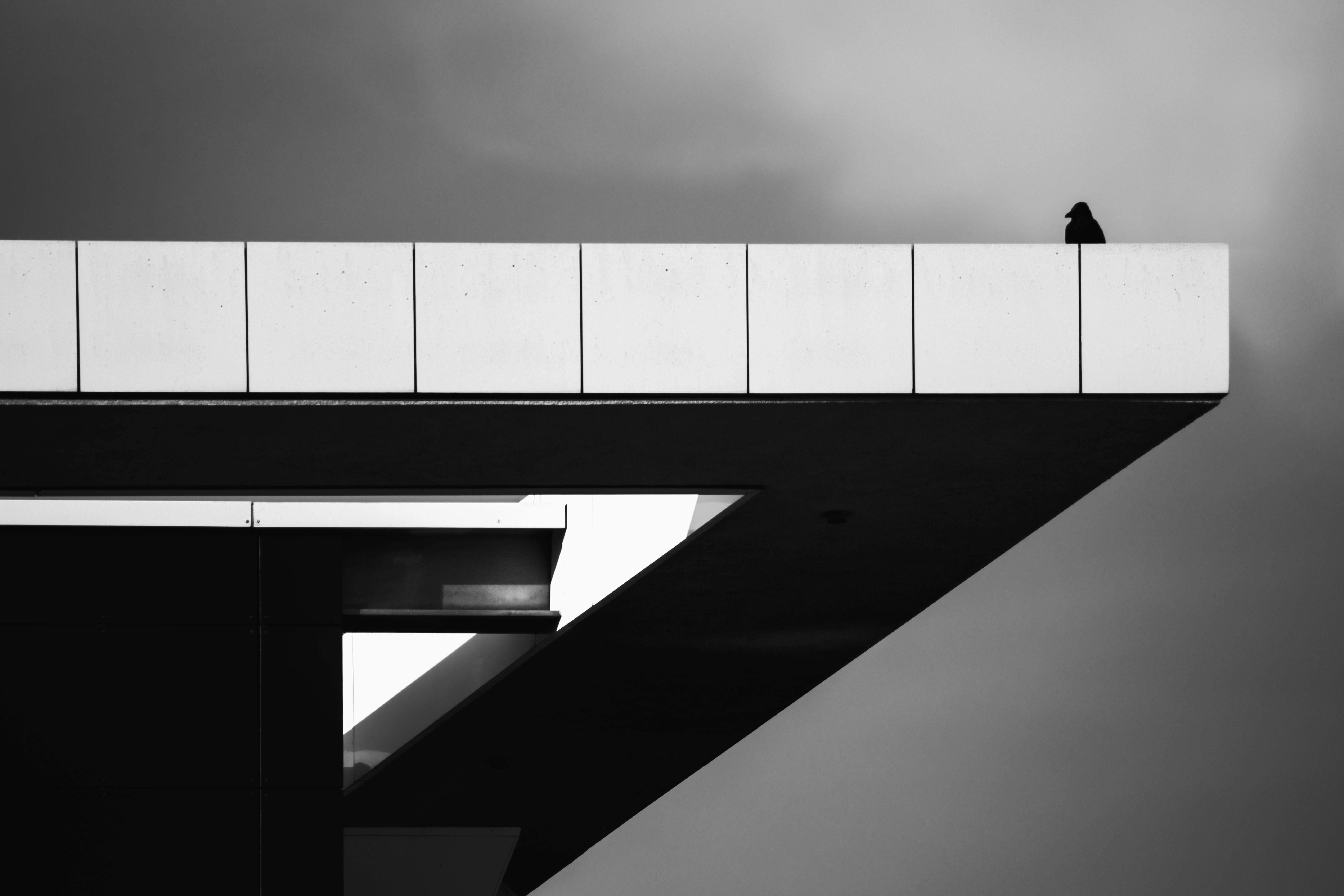 Black and white abstract architecture with a bird perched on the edge.