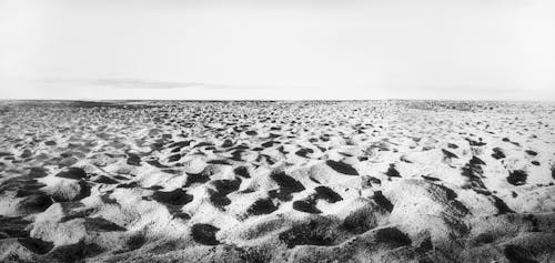 Základová fotografie zdarma na téma ilford delta 3200, písek