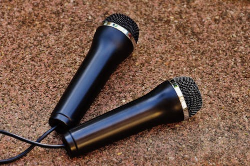 Two Black Dynamic Microphones