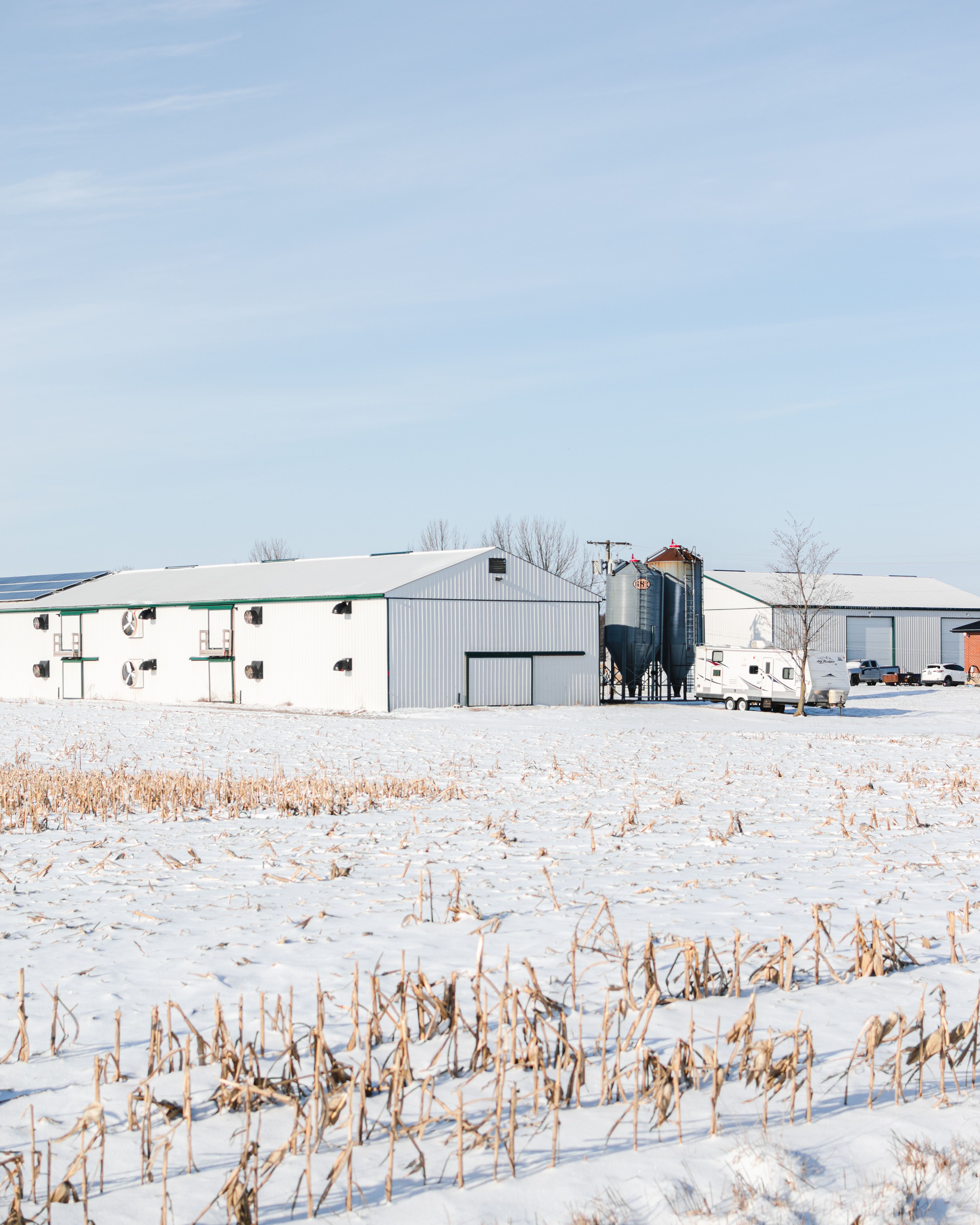Snow-covered Iowa farmstead with barns and silos under winter sky