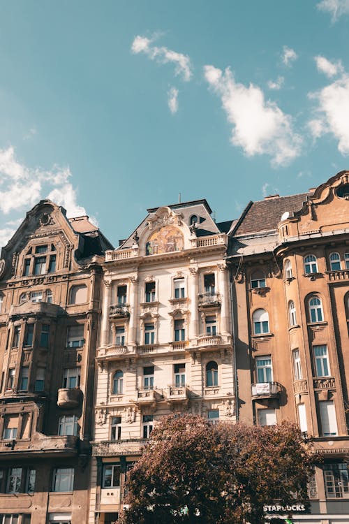 Kostenloses Stock Foto zu baum, budapest, fassade