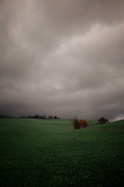 Základová fotografie zdarma na téma blesk, bouře, déšť