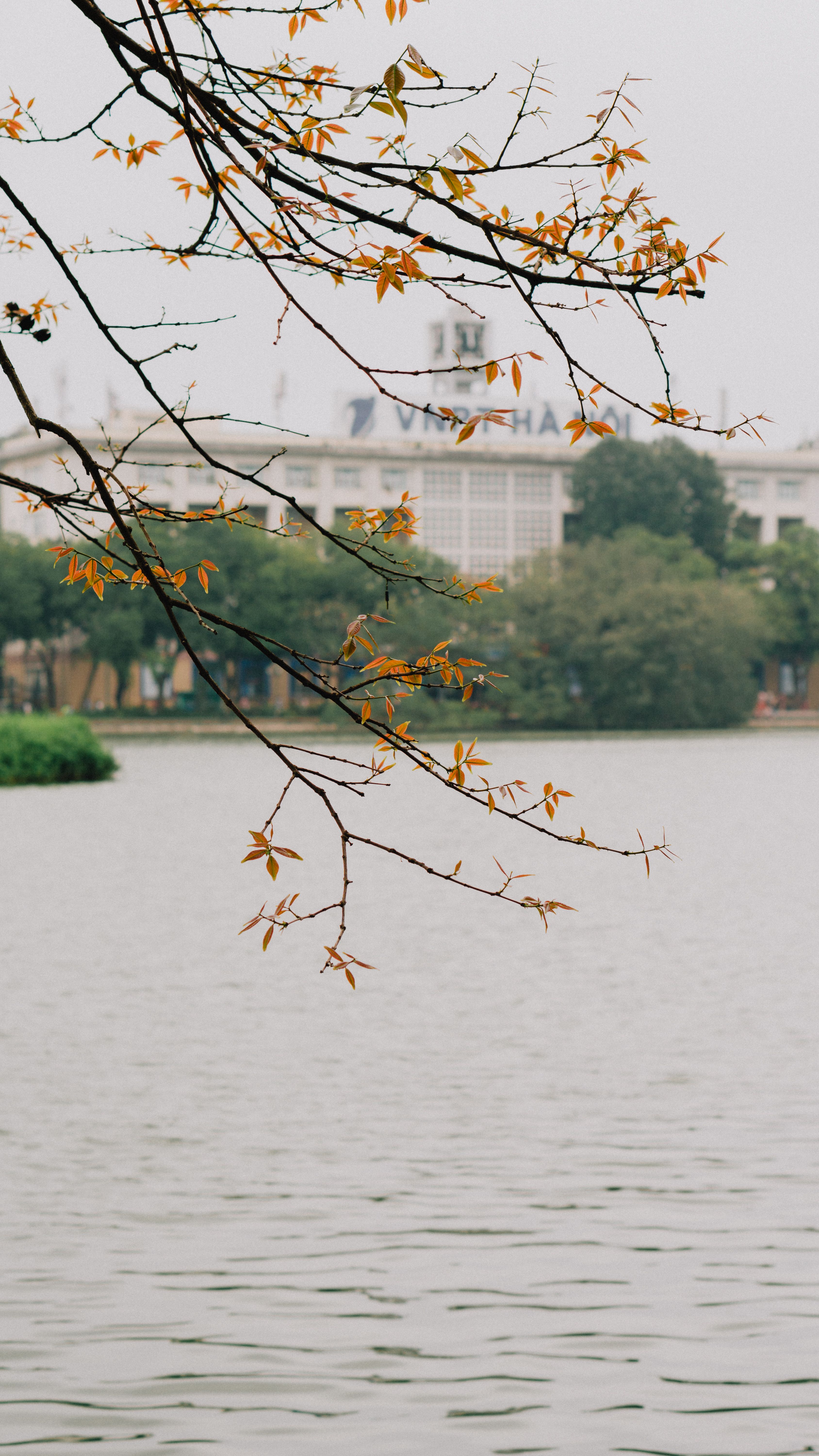 Ae Asia Photos, Download The BEST Free Ae Asia Stock Photos & HD Images