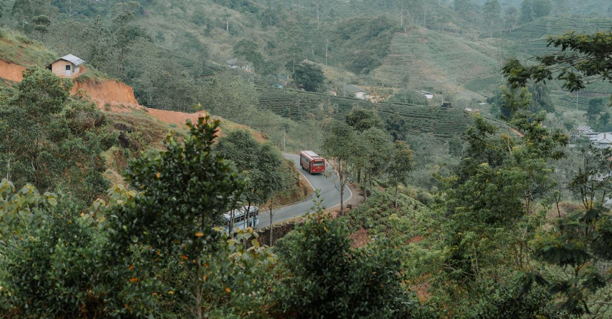 Colombo to Kandy Train Journey: A Guide for Indian Travellers