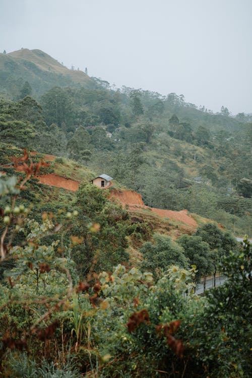 Cabin on a mountain