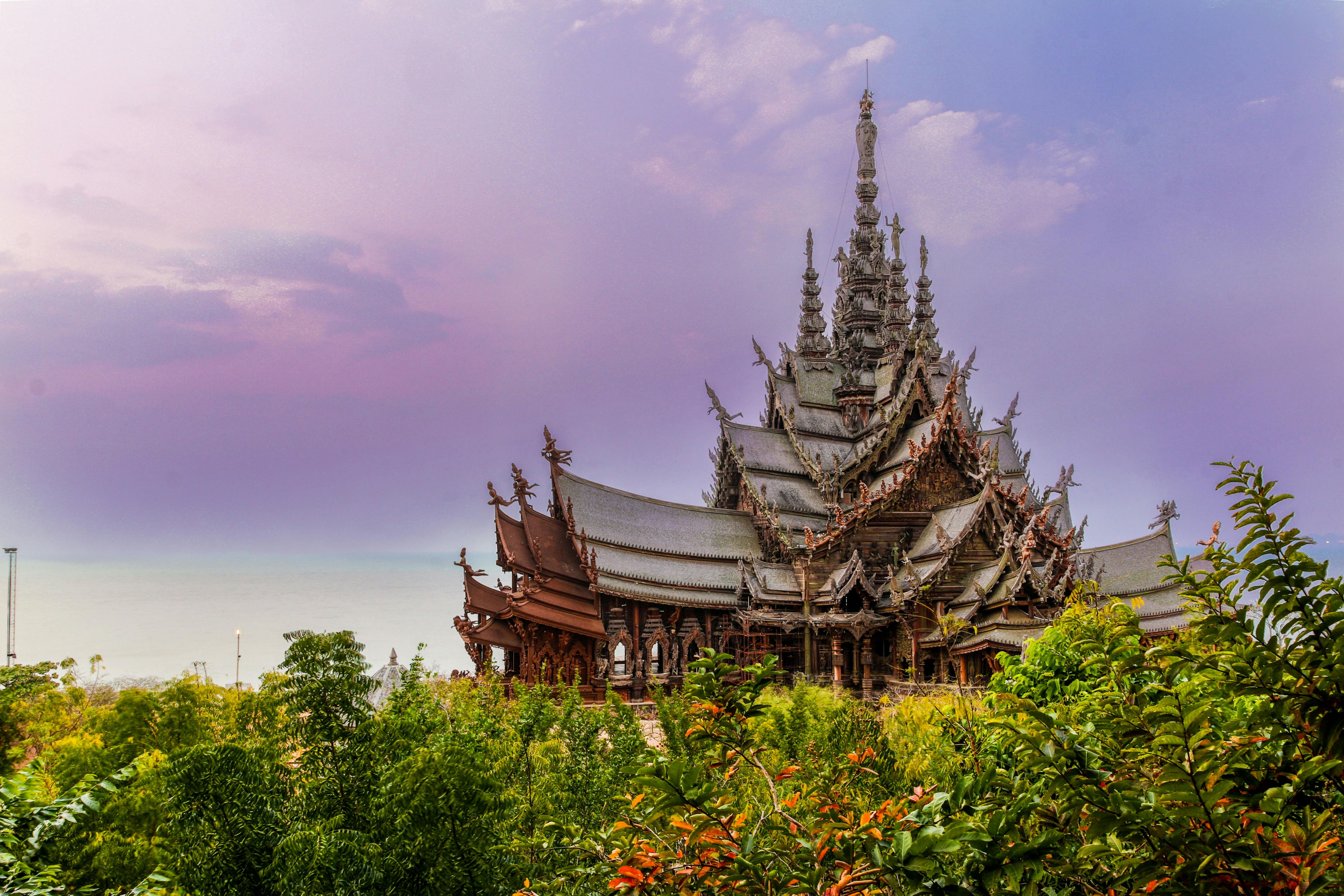 selective focus photography of white and brown temple