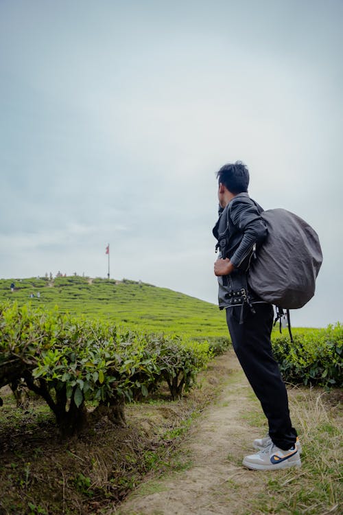 A man with a backpack standing on a path in front of tea fields