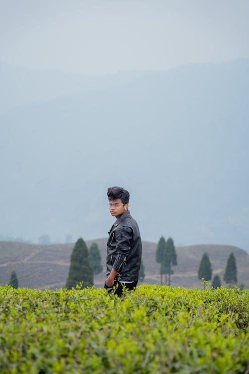 丘陵, 亞洲男性, 人 的 免費圖庫相片