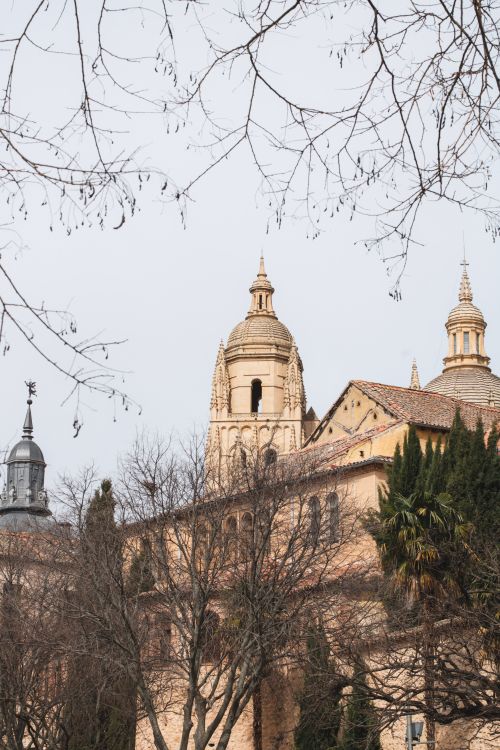 Free The iconic Segovia Cathedral in Spain, captured with leafless branches under a clear sky, showcasing its architectural grandeur. Stock Photo