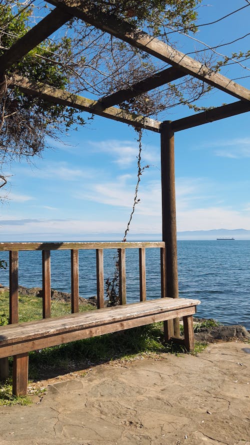 Wooden Bench on Seashore