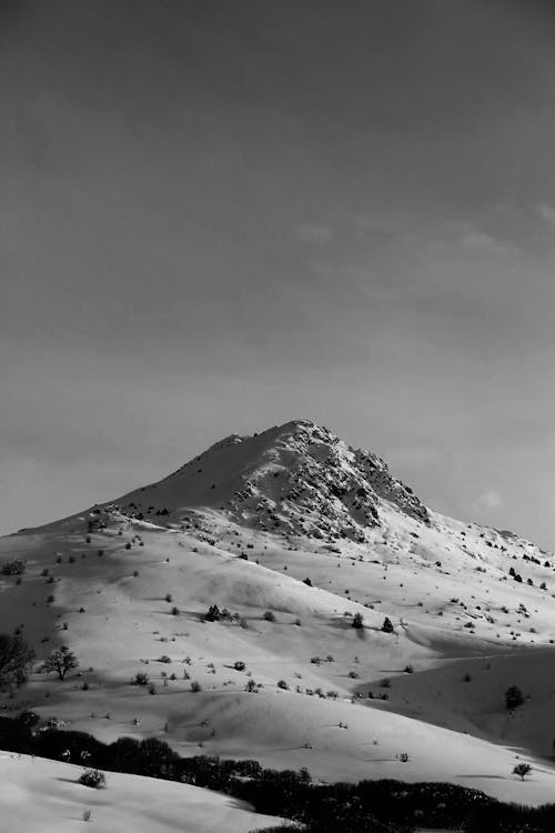 Immagine gratuita di bianco e nero, gelo, innevato