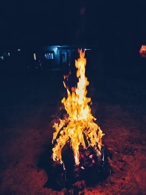 Foto stok gratis api unggun, api unggun musim dingin, Desa