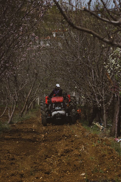 Gratis stockfoto met autorijden, boer, bomen