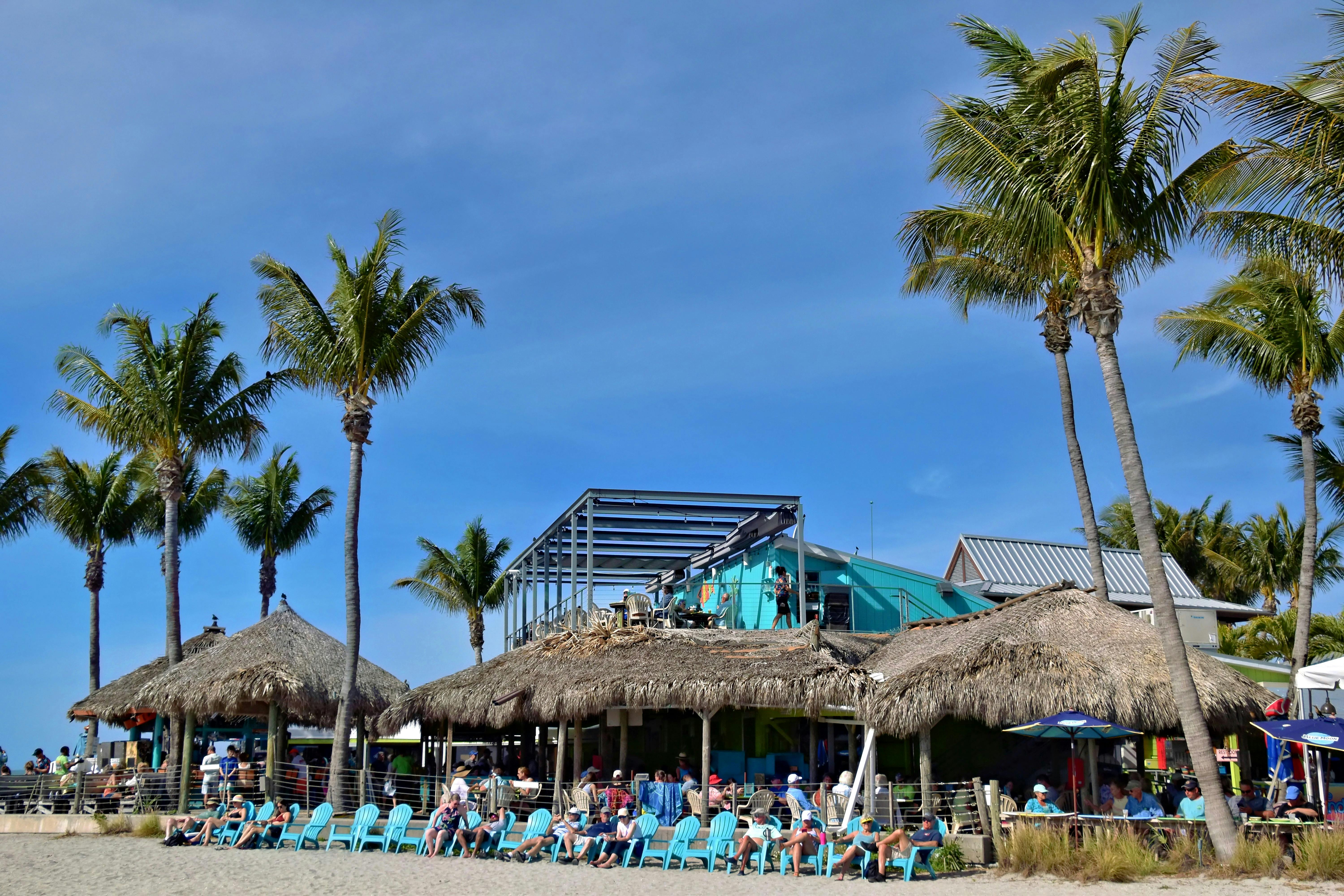 Sunny beach resort in Venice, FL with palm trees and vibrant atmosphere.
