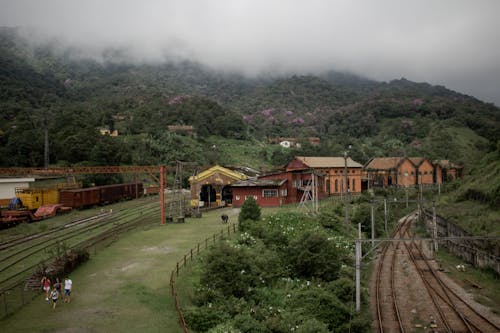 Casas Cerca De árboles