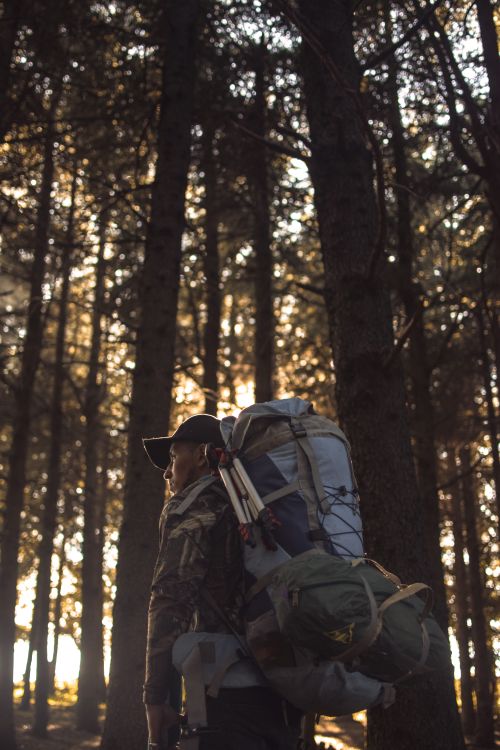 Free Man with a large backpack walks through a sunlit forest in Algeria, embracing adventure and nature. Stock Photo