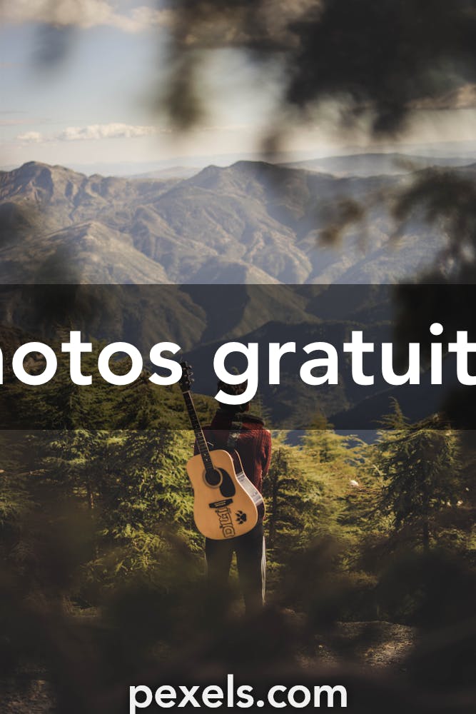Photos Guitare Classique, 81 000+ photos de haute qualité gratuites