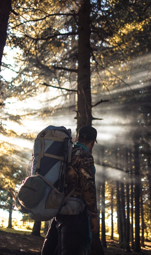 Pria Dengan Tas Ransel Hiking Di Hutan