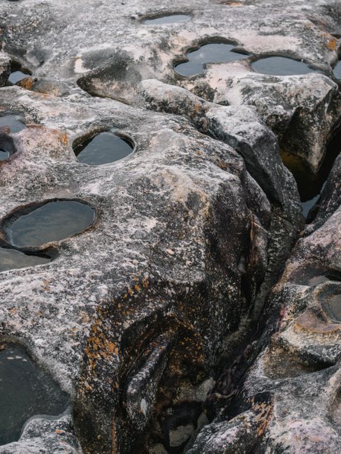 Rugged rocks with water puddles creating textured formations at Bondi Beach, Australia.