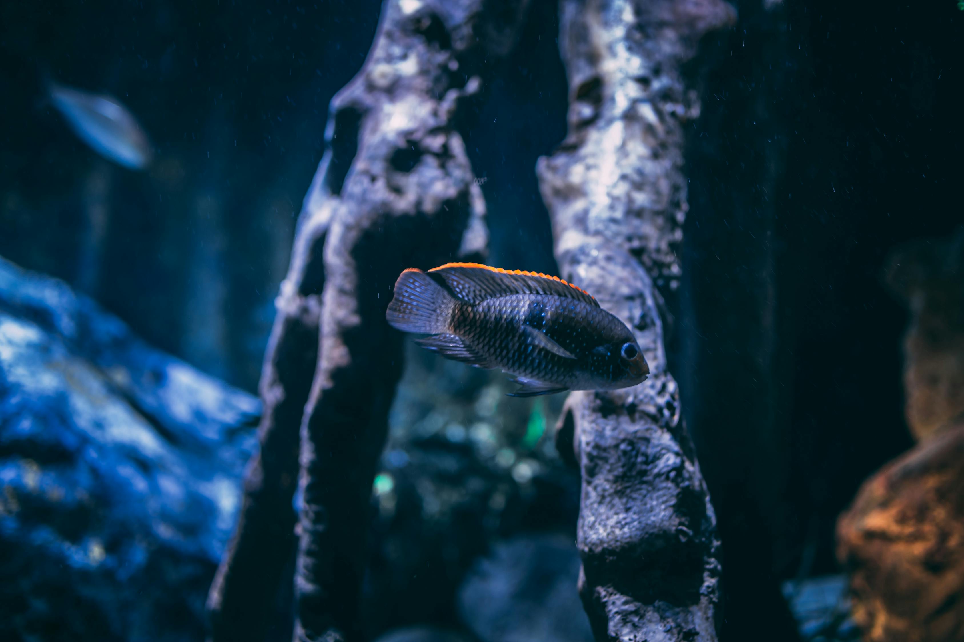 包头水族馆