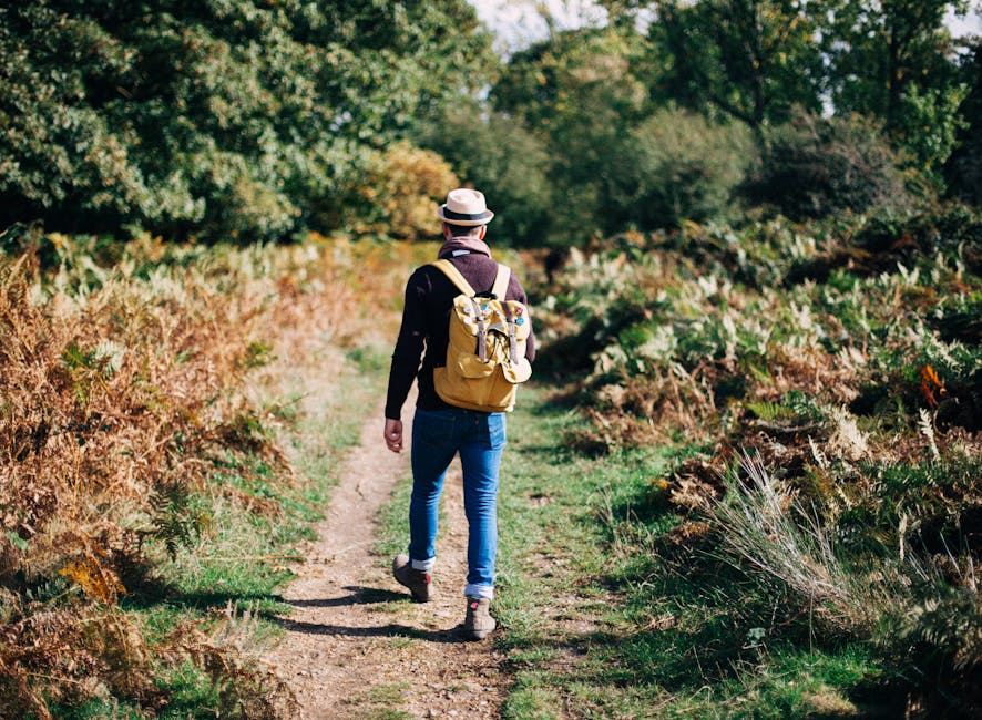 Man Walking on Road Surrounded by Trees