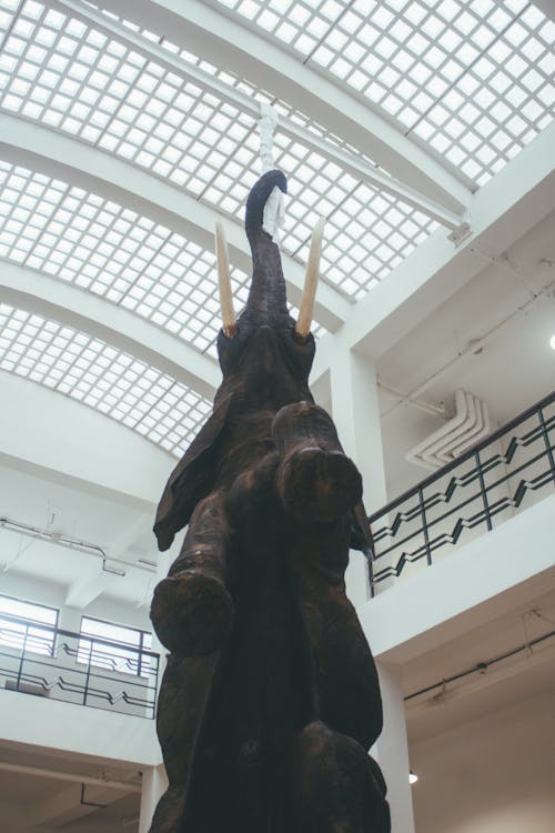 Rearing Elephant Statue