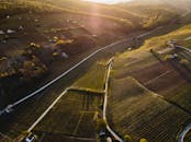 无人机拍摄了日落时分风景优美的农田、郁郁葱葱的绿地和乡村道路