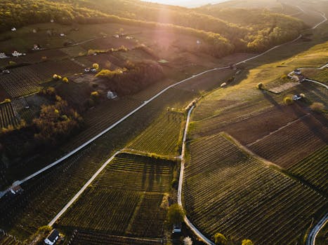 无人机拍摄了日落时分风景优美的农田、郁郁葱葱的绿地和乡村道路