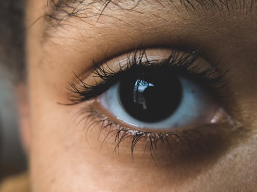 Free Person's Eye Stock Photo