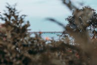 在明亮的天空下，宁静的海滨与郁郁葱葱的树叶，映衬着远方的码头