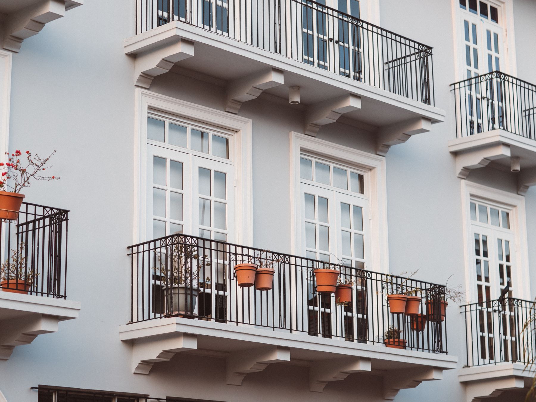 Exterior Painting in Kingston upon Thames — walls rolled to an even, flat finish