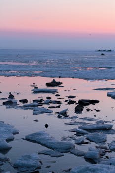 日落时分，冰冻海岸一片宁静，粉红与蓝色的色调映照在平静的水面上