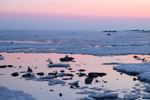 無料 氷のビーチの眺め 写真素材