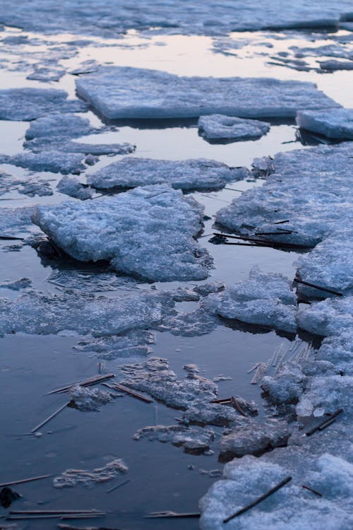 Vue Sur Ice Bergs