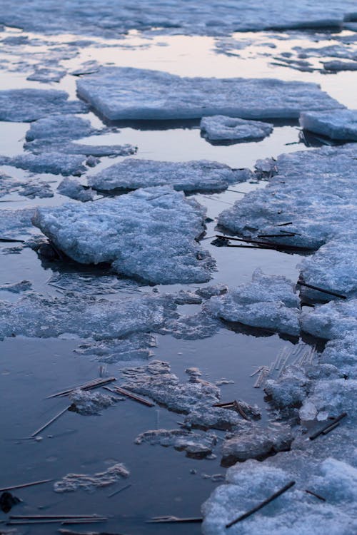 Безкоштовне стокове фото на тему «айсберг, берег моря, вода»