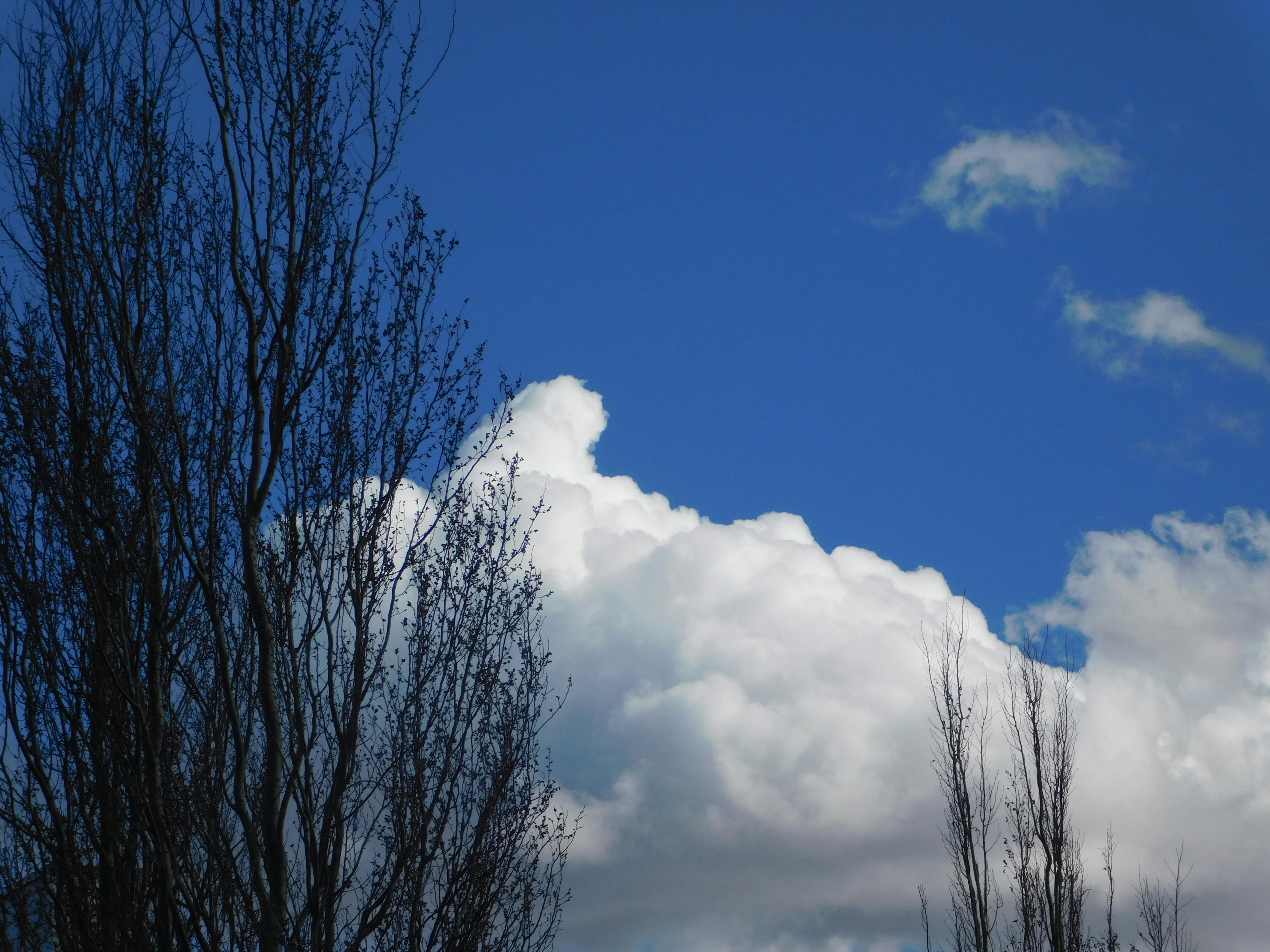 Free stock photo of edmonton, spring clouds