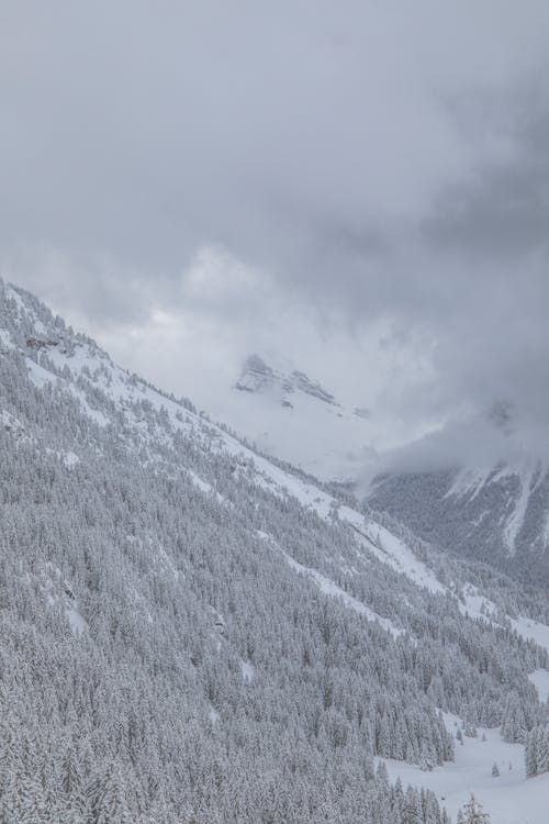 Foto profissional grátis de branco, França, montanha