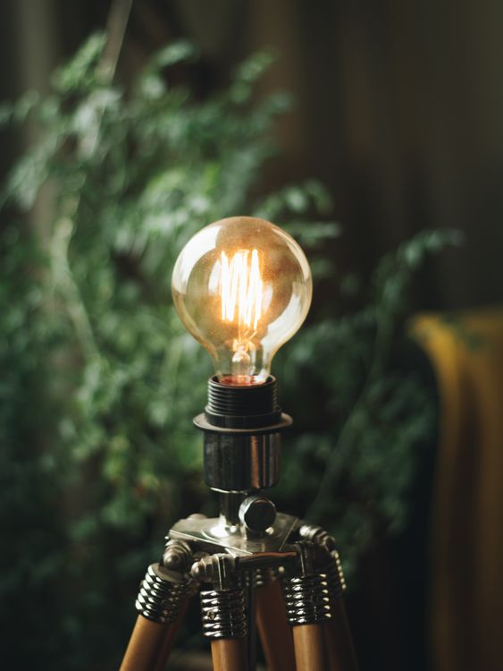 Brown Framed Light Bulb · Free Stock Photo