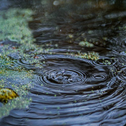 A close up of a small puddle with water droplets