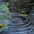 Single artwork — rain rings on water by Mir Burhan on Pexels